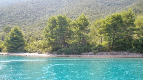 Farmland of 28.000 m2 - Dubrovnik Pelješac